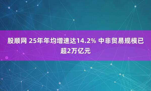 股顺网 25年年均增速达14.2% 中非贸易规模已超2万亿元