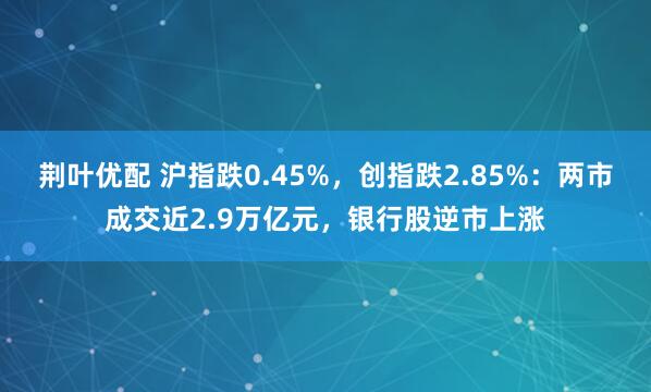 荆叶优配 沪指跌0.45%，创指跌2.85%：两市成交近2.9万亿元，银行股逆市上涨