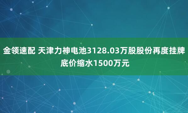 金领速配 天津力神电池3128.03万股股份再度挂牌 底价缩水1500万元