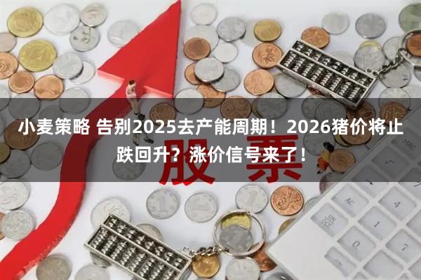 小麦策略 告别2025去产能周期！2026猪价将止跌回升？涨价信号来了！